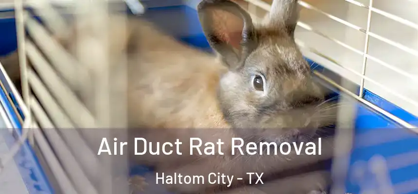  Air Duct Rat Removal Haltom City - TX
