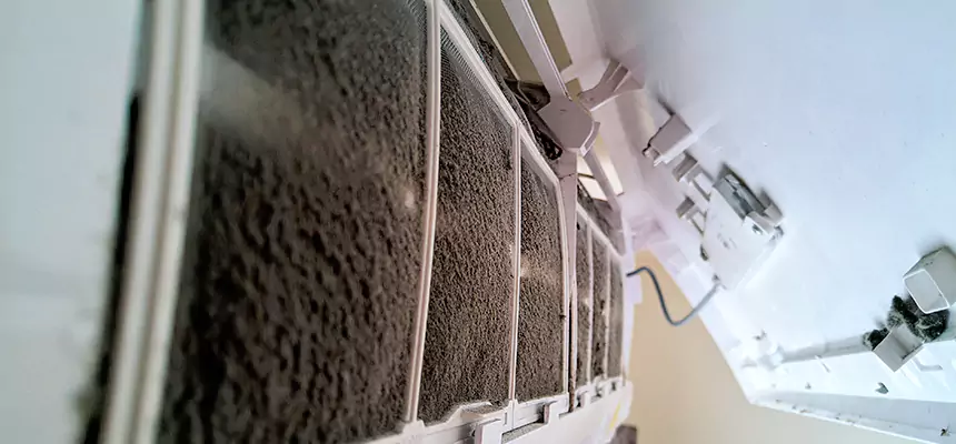 Preventive Air Duct Bacteria Removal in Haltom City