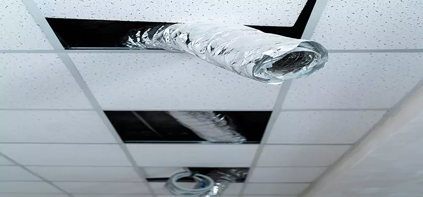 Our Air Duct Pet Hair Removal Services in Haltom City, TX