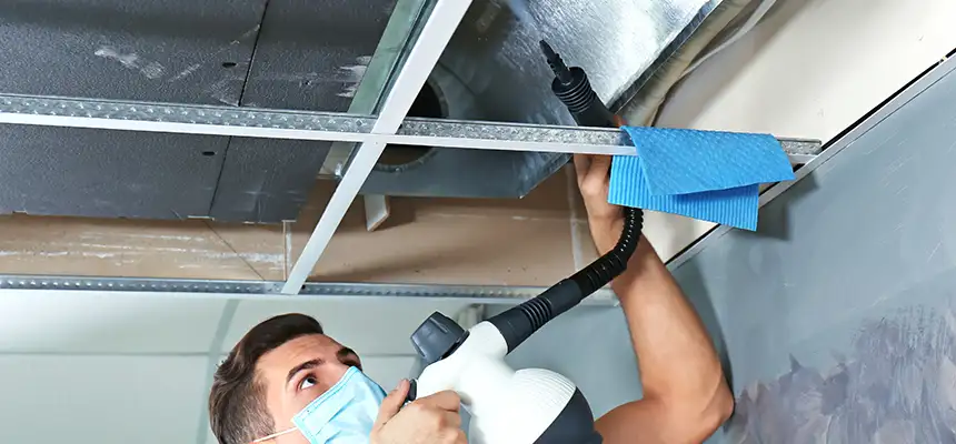 Our Air Duct Rodent Removal Services in Haltom City, TX