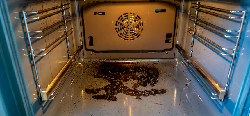 Our Dryer Vent Mold Cleaning Services in Haltom City, TX