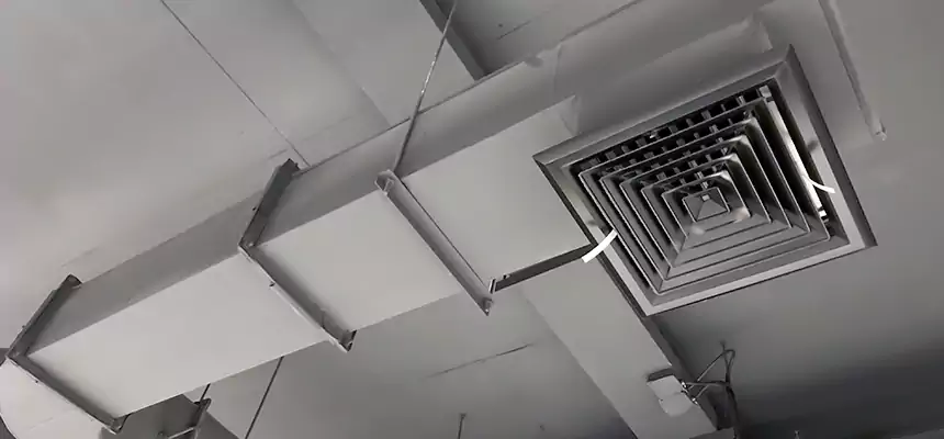 Our Pest Removal From Ducts Services in Haltom City, TX