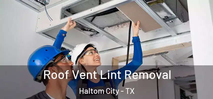  Roof Vent Lint Removal Haltom City - TX