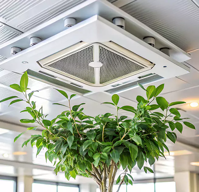 Why Homeowners & Businesses Trust Us in Haltom City, TX?